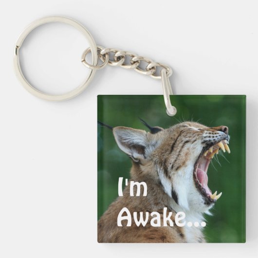 Yawning Bobcat Sleutelhanger (voorkant)