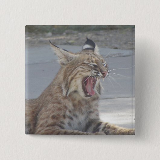 Yawning Bobcat Vierkante Button 5,1 Cm (Voorkant)