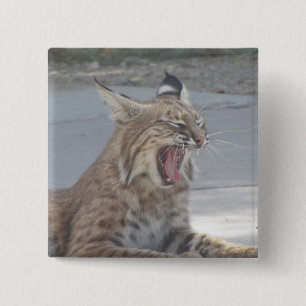 Yawning Bobcat Vierkante Button 5,1 Cm