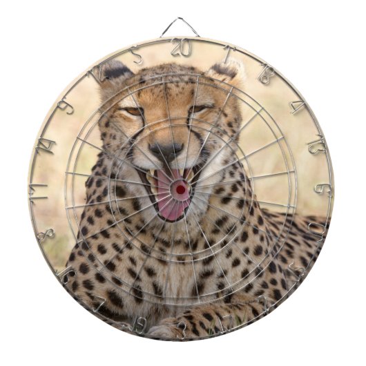 Yawning Cheetah Dartbord (Voorkant)