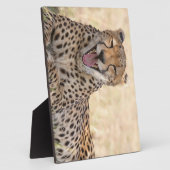 Yawning Cheetah Fotoplaat (Zijkant)