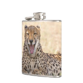 Yawning Cheetah Heupfles (Links)