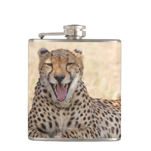 Yawning Cheetah Heupfles