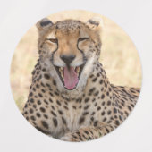 Yawning Cheetah Labels (Design 2)