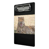 Yawning Cheetah Mini Klembord (Angled2)