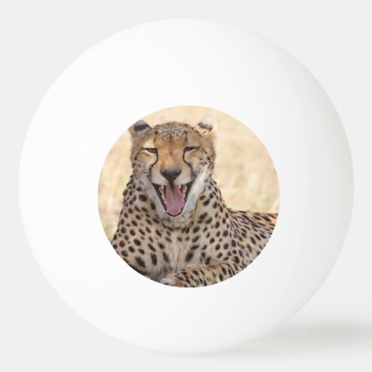 Yawning Cheetah Pingpongbal (Voorkant)