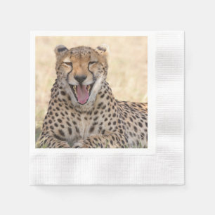 Yawning Cheetah Servet