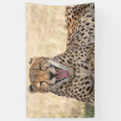 Yawning Cheetah Spandoek (Verticaal)