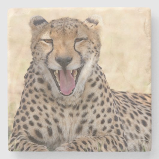 Yawning Cheetah Stenen Onderzetter (Voorkant)