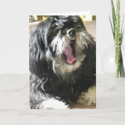 YAWNING CUZ IK BEN 40th BIRTHDAY. Kaart (Voorkant)