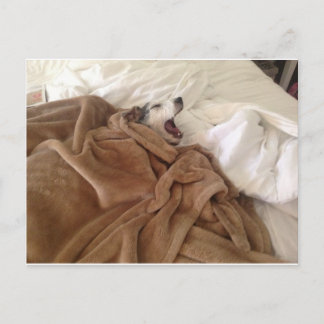 Yawning Doggy Briefkaart