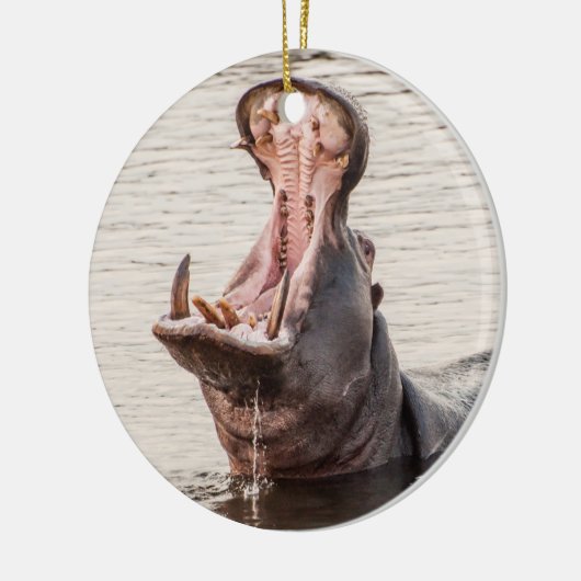 Yawning Hippo Keramisch Ornament (Links)