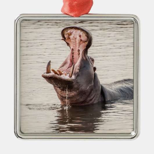 Yawning Hippo Metalen Ornament (Voorkant)