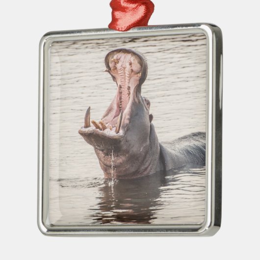 Yawning Hippo Metalen Ornament (Links)