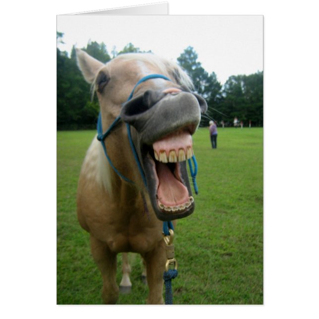 Yawning Horse (Voorkant)