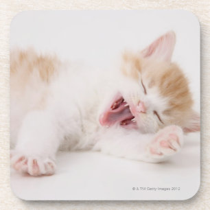 Yawning Kitten op de witte achtergrond. Drankjes Onderzetter