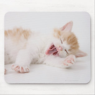 Yawning Kitten op de witte achtergrond. Muismat