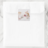 Yawning Kitten op de witte achtergrond. Vierkante Sticker (Tas)