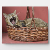 Yawning Kitty Cat Fotoplaat (Voorkant)