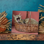 Yawning Kitty Cat Fotoplaat (Zijkant)