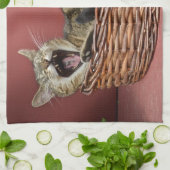 Yawning Kitty Cat Kitchen Towel Theedoek (Gevouwen)