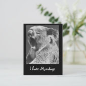 Yawning Koala Briefkaart (Staand voorkant)