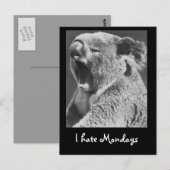 Yawning Koala Briefkaart (Voorkant / Achterkant)
