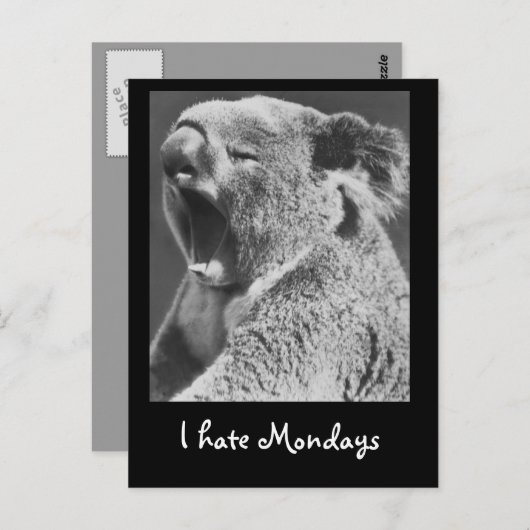 Yawning Koala Briefkaart (Voorkant / Achterkant)