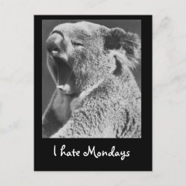 Yawning Koala Briefkaart