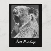 Yawning Koala Briefkaart (Voorkant)