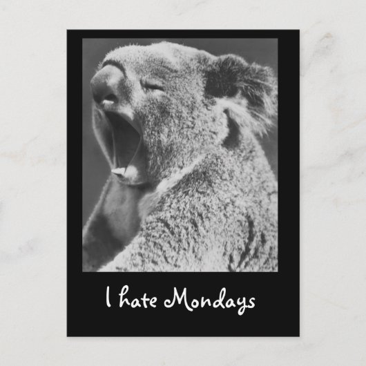 Yawning Koala Briefkaart (Voorkant)