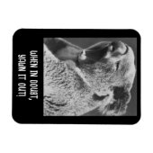 Yawning Koala - grappige quote Magneet (Horizontaal)