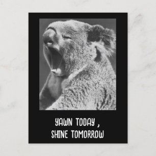 Yawning Koala-grappige zin Briefkaart
