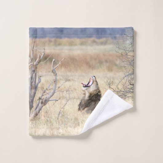 Yawning lion bad handdoek (Wasdoekje)