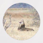 Yawning lion labels (Design 2)