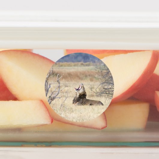 Yawning lion labels (Aangebracht)