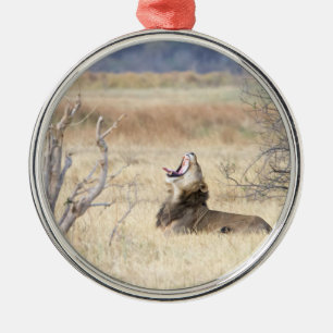 Yawning lion metalen ornament