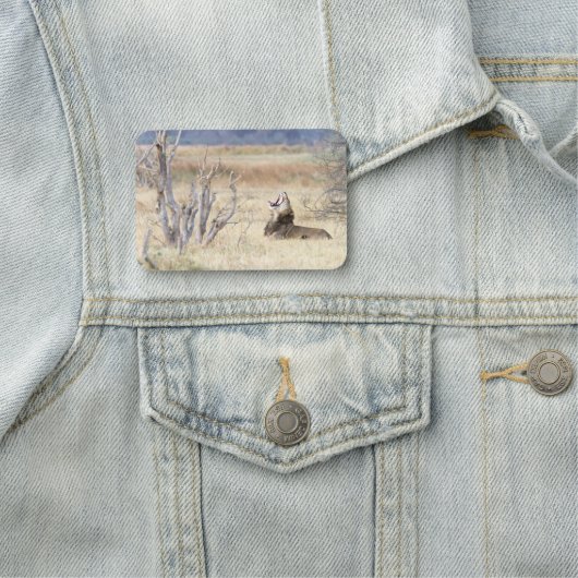 Yawning lion naamplaatje (In situ)