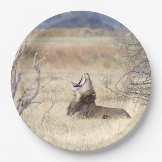 Yawning lion papieren bordje (Voorkant)