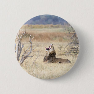 Yawning lion ronde button 5,7 cm