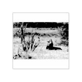 Yawning lion rubberstempel (Afrduk)