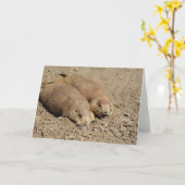 Yawning Prairie Dog Wenskaart Kaart (Gele Bloem)