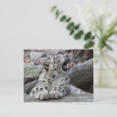 Yawning Snow Leopard Cub Briefkaart (Staand voorkant)