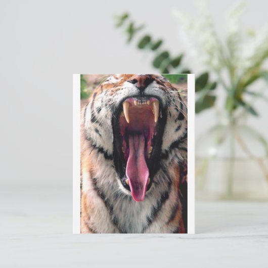 Yawning tijger 2 briefkaart (Staand voorkant)