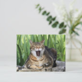 Yawning Tired Kitty Cat Cute Fun Briefkaart (Staand voorkant)