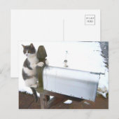 Yawning Tired Kitty Cat Cute Fun Briefkaart (Voorkant / Achterkant)