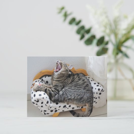 Yawning Tired Kitty Cat Cute Fun Briefkaart (Staand voorkant)