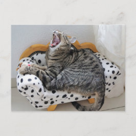 Yawning Tired Kitty Cat Cute Fun Briefkaart