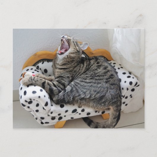 Yawning Tired Kitty Cat Cute Fun Briefkaart (Voorkant)