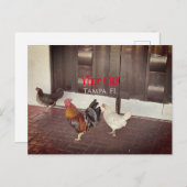 Ybor City, Tampa FLORIDA Briefkaart (Voorkant / Achterkant)